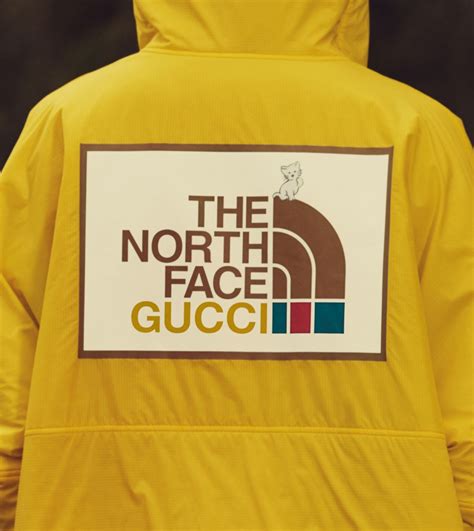 the north face gucci toque|north face gucci for sale.